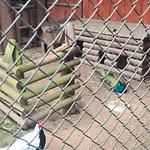 Zacisze , Фермерский дом